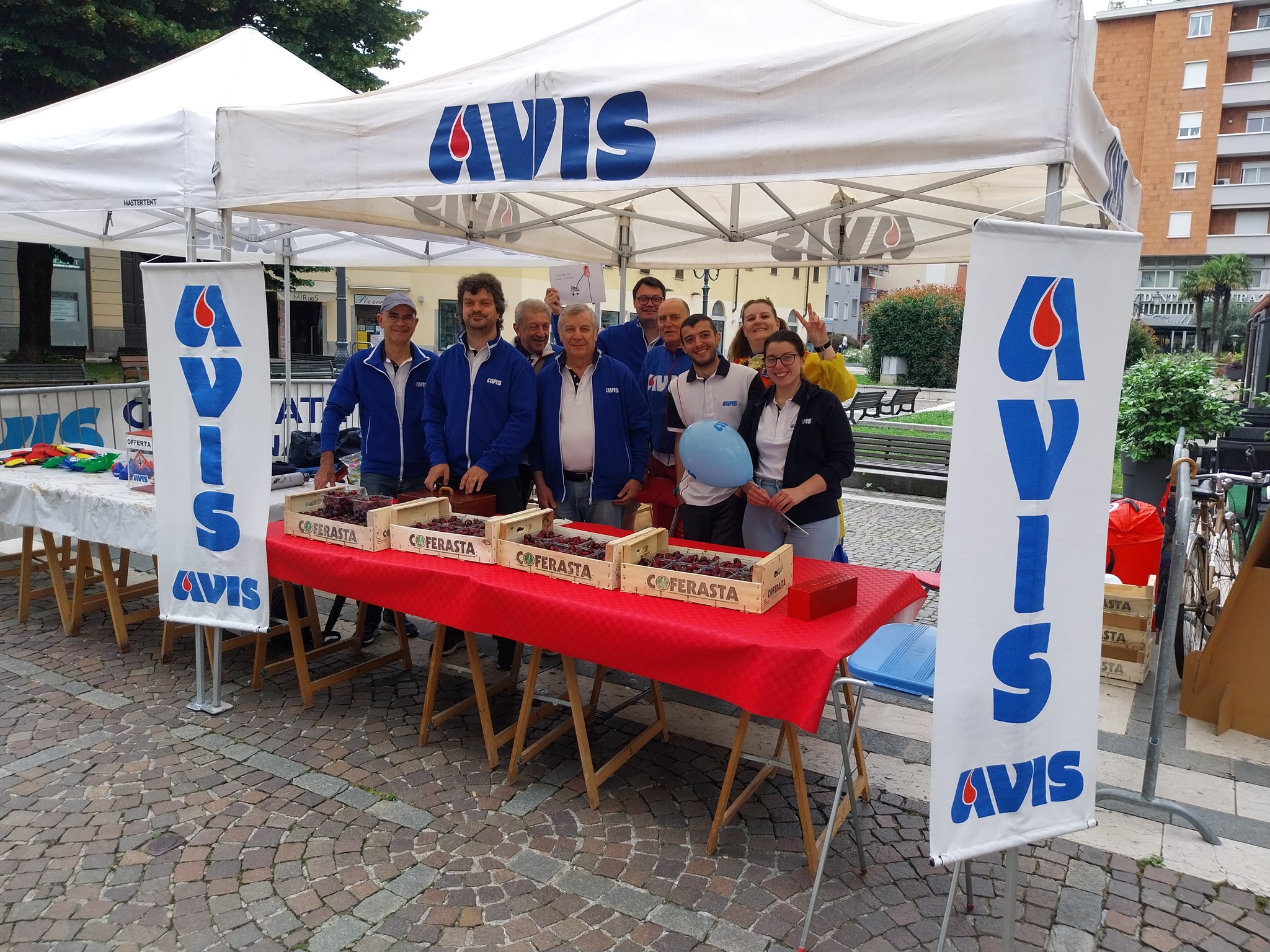 Avis Saronno